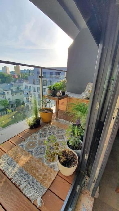 Apartment In City Center Przemyśl Exteriör bild